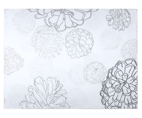 pencil outline drawing of multiple pinecones